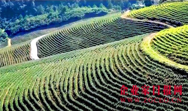 山东聊城携重庆彭水谱写东西部扶贫协作