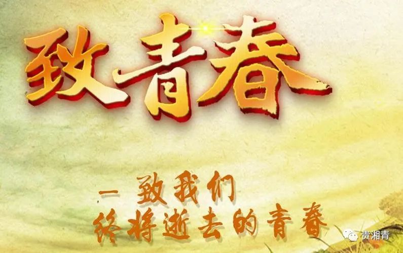 忆青葱岁月感谢老板娘的好书