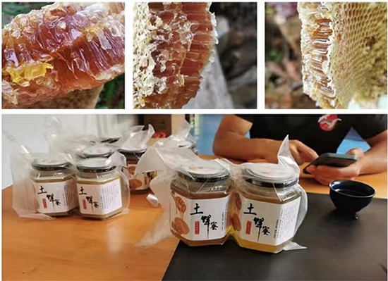广西三江独峒镇:因地制宜绘蓝图 秋