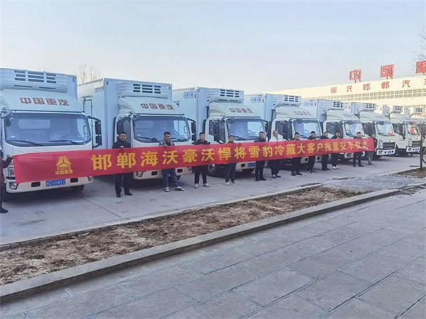 中国重汽HOWO轻卡喜迎开门红 全国