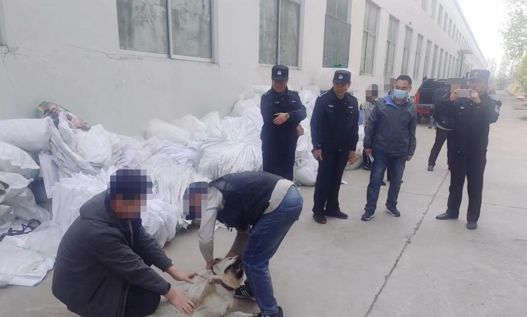 倡导文明养犬,平度市东阁街道综合行政执法中队在行动2.png