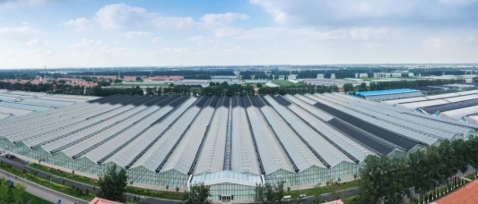 由中国工程院院士赵春江领衔规划设计的寿光型智能玻璃温室，应用120多项专利技术