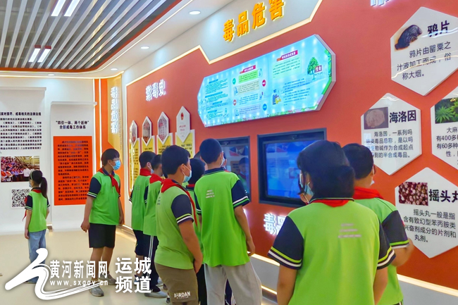 永济市虞乡中心校虞乡小学开展禁毒教育