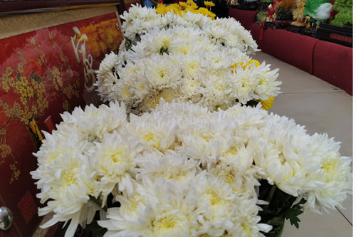 朔州文明祭扫树新风