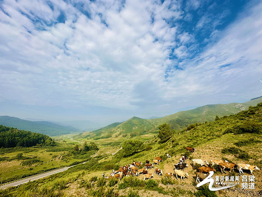 岚县高山草甸饮马池