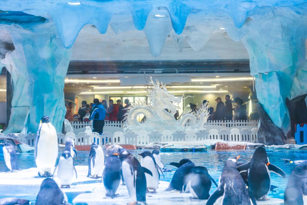 在长沙黄兴南路步行街中心广场,不仅有民乐演奏等传统节目,还有摇滚乐