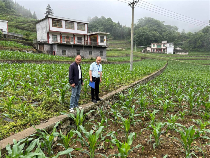 宜宾市珙县洛亥镇纪委:监督护航高标准农田建设
