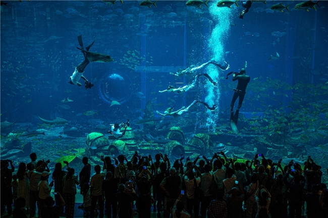 田径运动会3安卓版(图1)