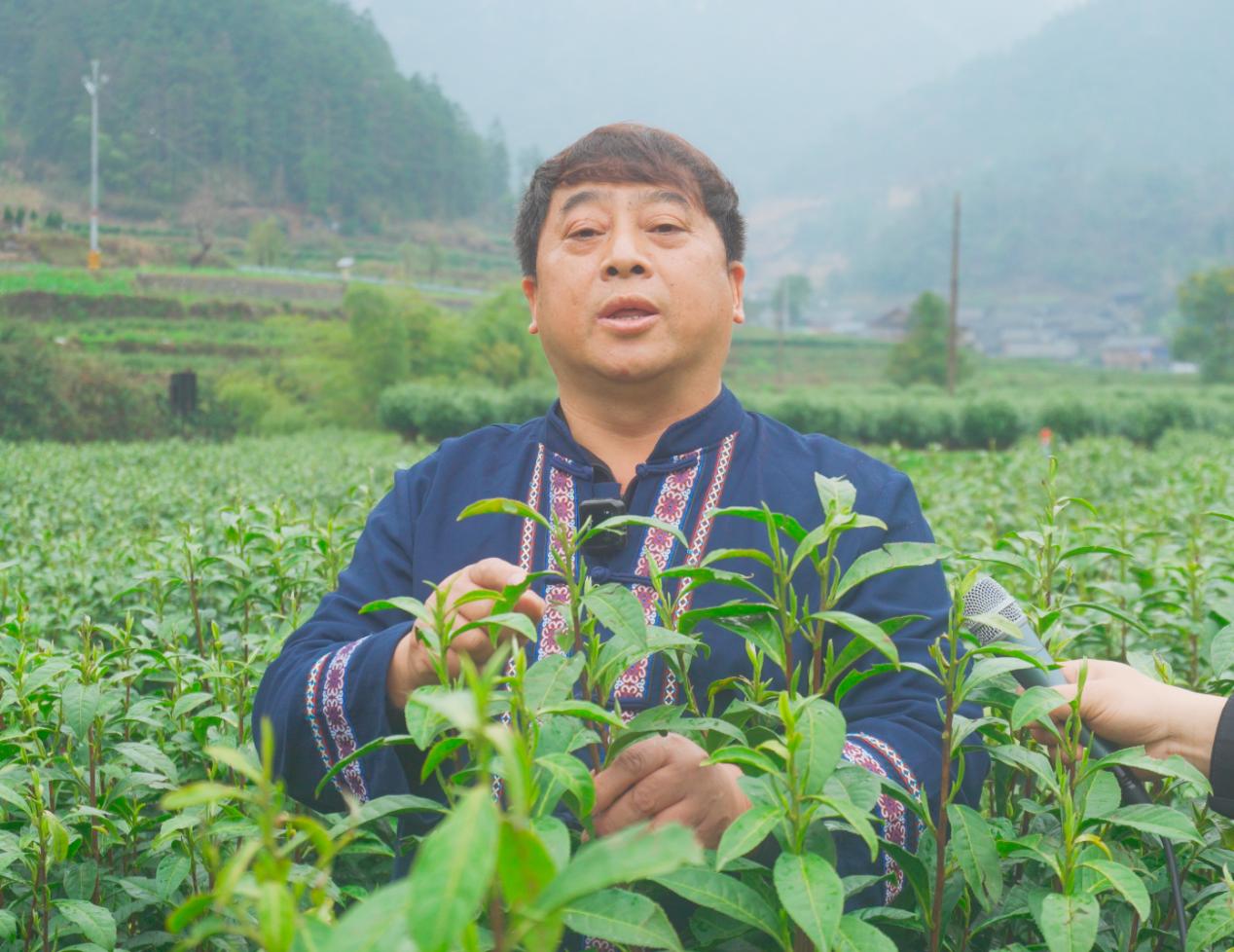 图片4.jpg
