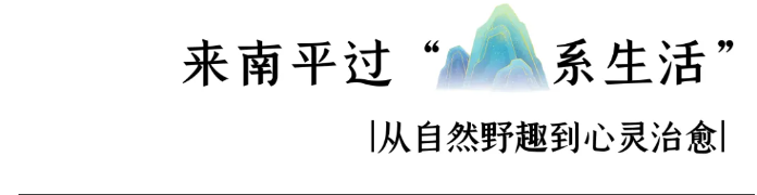 2025年福建省文旅大会 | 达人大