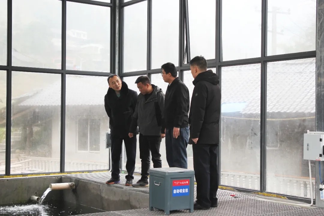 鲁渝协作人才帮扶激活乡村振兴 