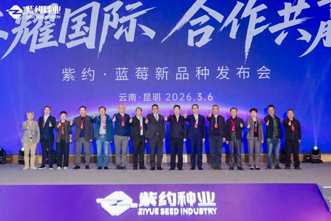 首发经济将引领蓝莓新浪潮 2026年紫约新品种推介会在云南呈 