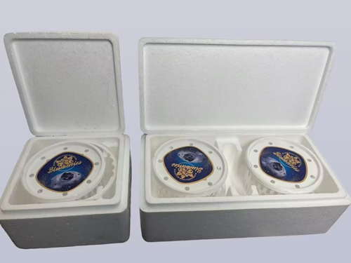 三方联动破产销堵点 顺丰赋能广西蓝莓跑出 增收“加速度” 果 