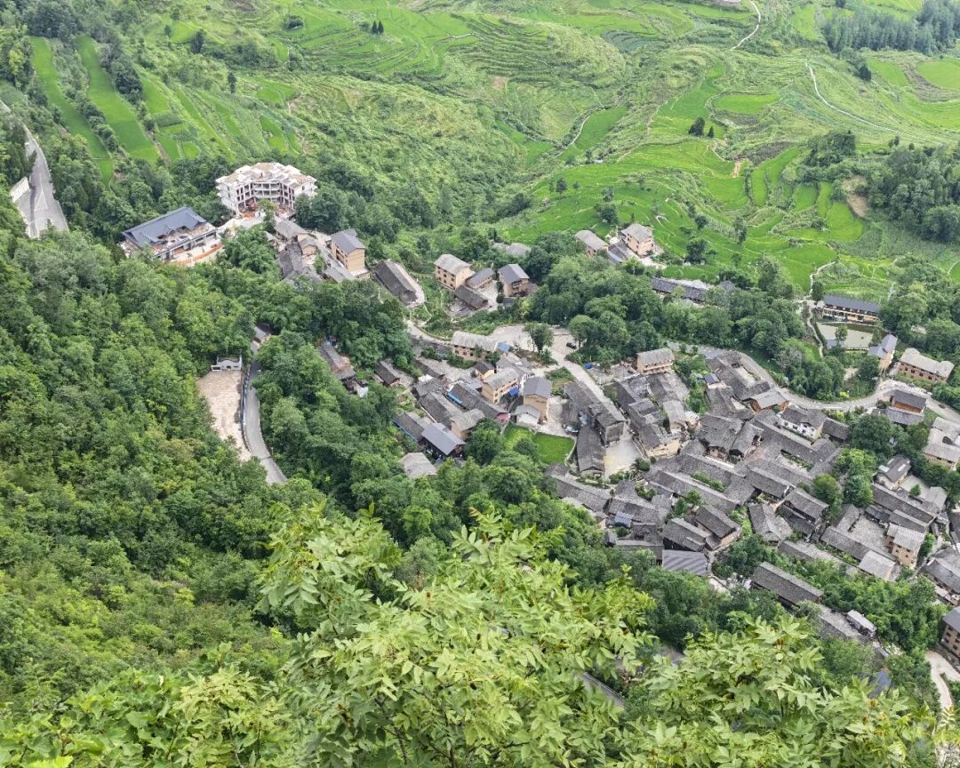 图片7.jpg