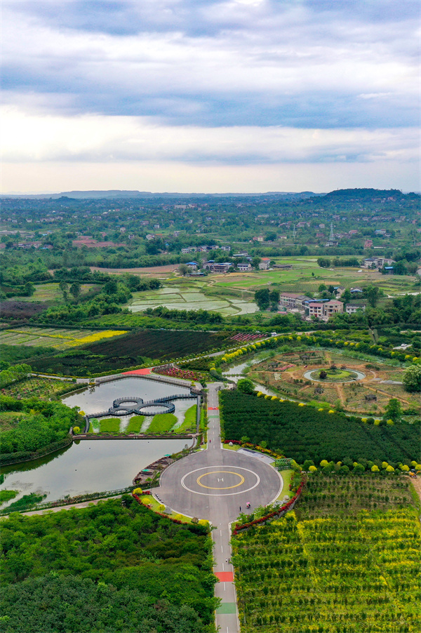 四川省华蓥市禄市镇在实施乡村振兴战略中,因地制宜把产业振兴,生态