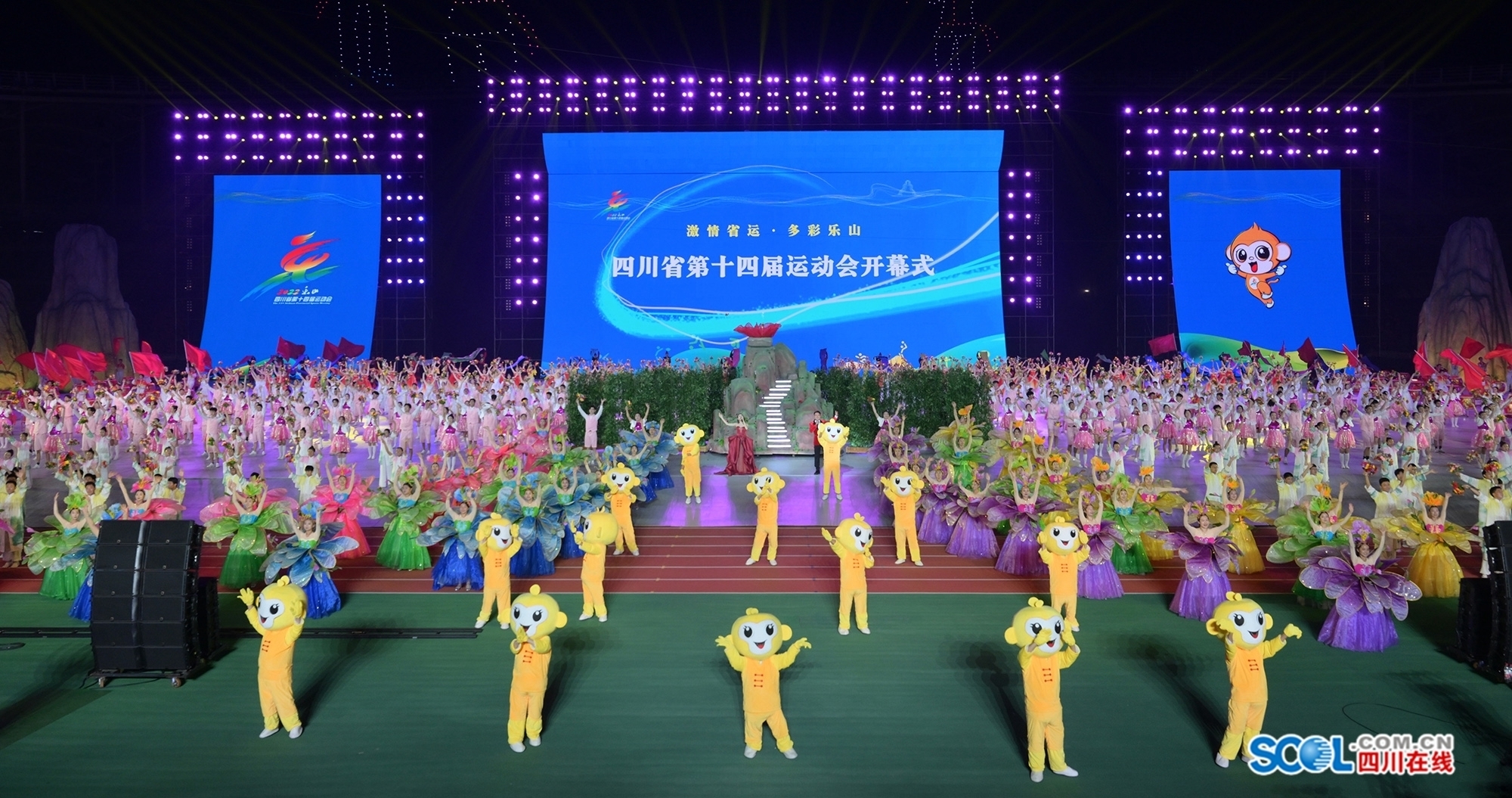 四川省第十四届运动会在乐山开幕 1.JPG